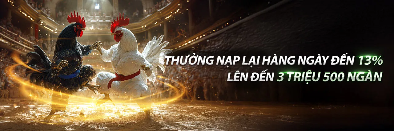 Hình ảnh đại diện Điều Khoản & Điều Kiện của 888l nhà cái